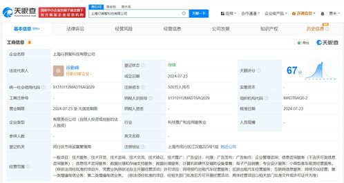 T3出行上海成立新公司，聚焦信息技術(shù)咨詢(xún)服務(wù)